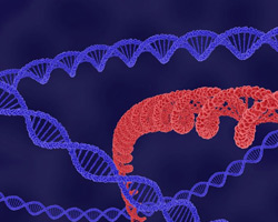 医疗器械北京生物相容性评价要点-[纽唯检测]