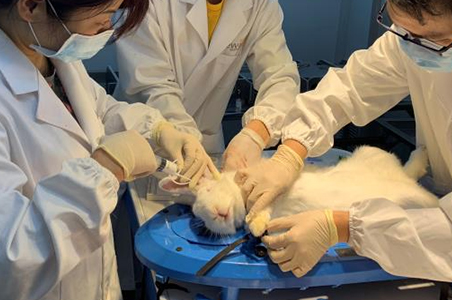 北京医疗器械动物实验